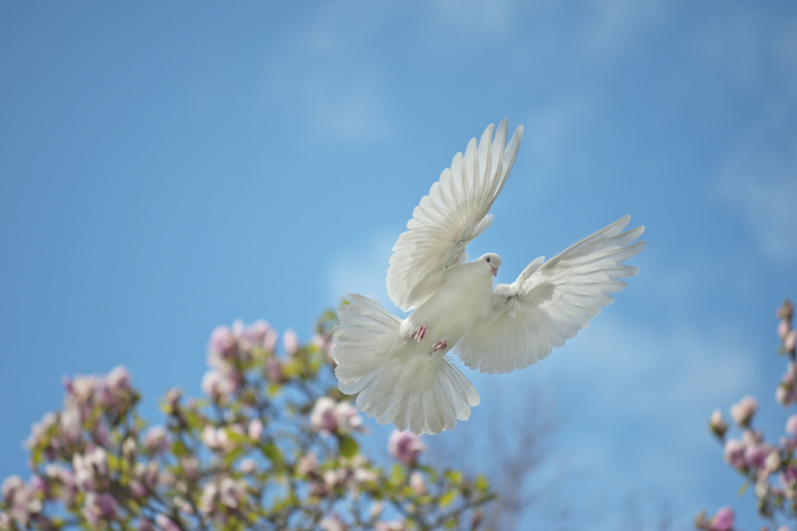 iStock-183027884